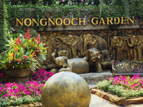 Nong Nooch Tropical Botanical Garden Pattaya - mit Guide in Deutsch