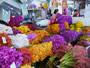 Blumen- und Gemüsemarkt "Talat Pak Klong"
