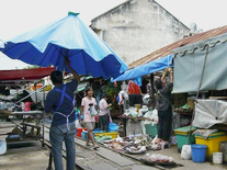 Schirme-zurück-Markt